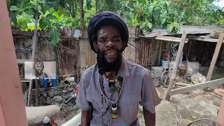 PEANUT DREAD... SORRY FI MAWGAH DOG HIM TUN ROUND BITE YUH!!.. 