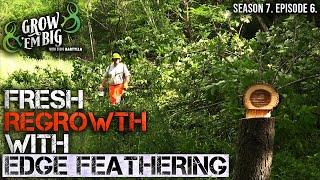 Edge Feathering for Deer: Improve Food Plots