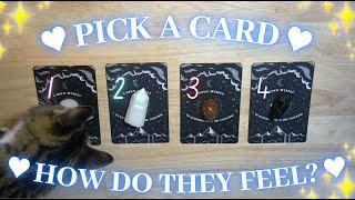 How They're Feeling About You ️ Detailed Pick-a-Card Tarot Love Reading 