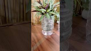 Plastic bottles cut turned into flower pots recycle idea, let’s make it together