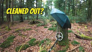 Nothing Comes Easy! Metal Detecting With Military Accent, Rain & Hidden Relics!