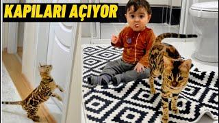 KEDİM BEBEĞİME YARAMAZLIK ÖĞRETİYOR  MİNTİK VE MUSTAFA İLE ÇILDIRMALIK BİR GÜN VLOG