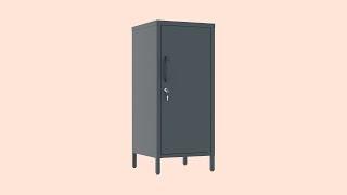 Small storage cabinet single door