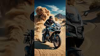 BMW R 1250 GS: The Ultimate Adventure Bike – Unleashing Power, Performance & Innovation!