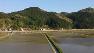 Rice field preparation