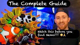 How to Care for a Clownfish (Everything You NEED to Know) 