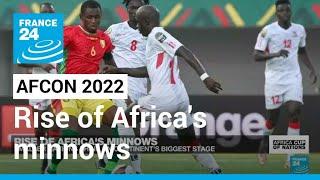 AFCON 2022: Smaller nations shine on continent's biggest stage • FRANCE 24 English