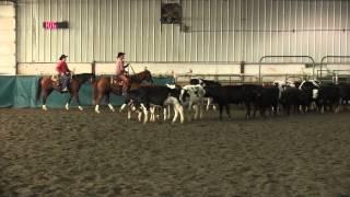 Blake Christensen CUCHA Delta Spring Show Day 2 2000 Limited Rider