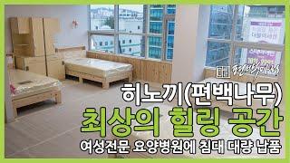 최상의 힐링공간을 만들고 싶다 - 여성전문요양병원에 편백침대 대량납품 사례