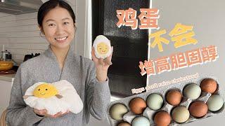 辟谣️别再冤枉鸡蛋了！一天吃几个？只吃蛋白吗？// Eggs don't raise cholesterol