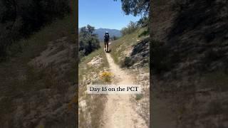 Day 15 on the Pacific Crest Trail #hikingroute #hikingadventure #pacificcresttrail #pct24 #idyllwild