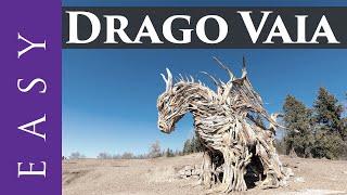 The Vaia Dragon