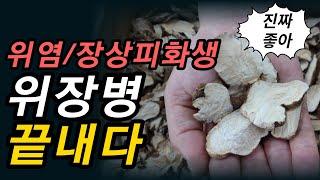 위장병에 가장 좋은 약초, 농약검사 합격한 재배농가[약초방송]