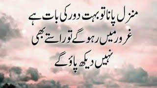 newAqwal e zareen ️| Best Urdu quotes| Aqwal e zareen in Urdu|Urdu Islamic quotes