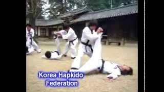 Short Documentary on the Introduction of the Korea Hapkido Federation - Translated in English