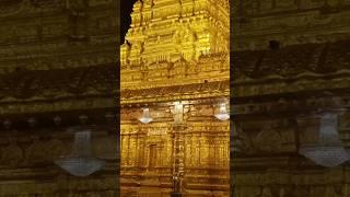 Vellore Lakshmi Temple 🫠 #shorts #subscribe #lakshmi #ytshorts