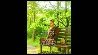 “Peace comes from within. Do not seek it without.”– Buddha(평화는 내면에서 온다. 바깥에서 찾지 말라.)