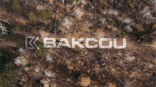 Explore Further: Discover the Power of Bakcou Electric Bikes