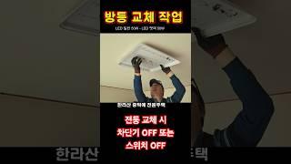전등교체 작업 빠르게 봅니다 #조명교체 #전기실무 #전기기사