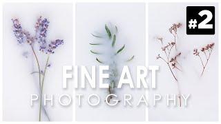 Fine art photography #2: Creative ideas to do at home - Photographing plants and flowers in milk