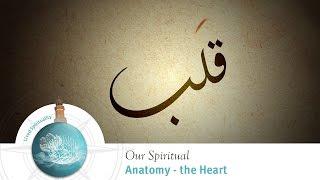 Shaykh Yasir Fahmy - The Heart