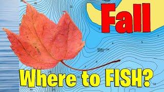 Fall Bass Fishing: Critical Info On Where To Look