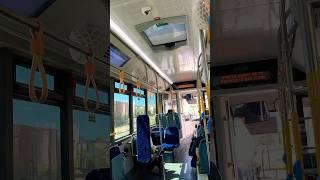 I Took a Ride on a Beautiful Israeli Bus Before the Rosh Hashanah Holiday #ytshorts