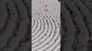 صدقناك و لم نراك و نشهد اللّٰـه إنك بلغت الرسالة و أديت الامانة اللهُم صلِ على مُحمد والِ مُحمد