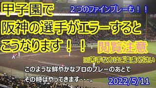 閲覧注意！甲子園で阪神の選手がエラーをしたらこうなります！２つのファインプレーで挟みましたが、苦手な方はご遠慮ください。初めて足を運ばれる方はこの動画でかるく免疫をつけてからどうぞ！2022/5/11