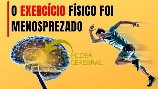 Quais os benefícios do exercício físico para o cérebro