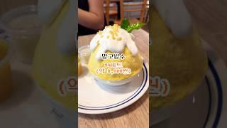 비싼 음식만 골라먹는 덕덕이들 #자매여행 #food #치앙마이여행 #태국여행 #travel #치앙마이맛집 #vlog #cafe