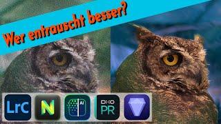 Wer entrauscht am besten?  ||  Praxis-Vergleich: Lightroom, Topaz, DxO, ON1, Luminar Neo