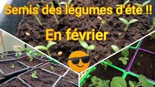 N° 1 Quels sont les premiers semis d'été !! 