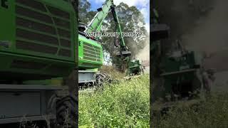 Warragul Tree Removal with Sennebogen 718E | Drouin Tree Services Crew in Action #vegetation