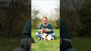 Как оформить ВНЖ на Кипре на 5 лет? ЛЕГКО, новый закон все поменял  #новости #живемнакипре #кипр