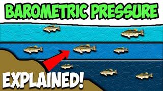 How BAROMETRIC PRESSURE Effects Fishing (Explained!)