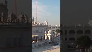 Na Daro | Dharmik Shabad | Bhai Manjinder Singh Taan | Shabad Gurbaani #shorts #dharmik