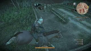 Roach Going For A Quick Fly... - The Witcher 3  Wild Hunt