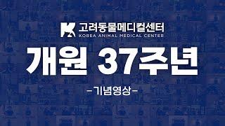 고려동물메디컬센터 37주년 기념영상(+쿠키영상) #기념영상 #축하합니다