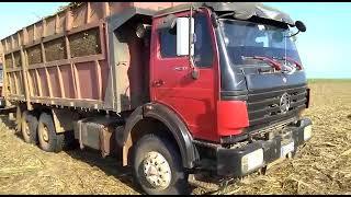 En plena zafra , beyben truck Cuba 