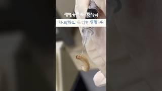 ‍생명공학과 오고 싶다구? 이 영상보고 다시 생각해봐  | 생명공학과 | 생명 실험 | Biotechnology