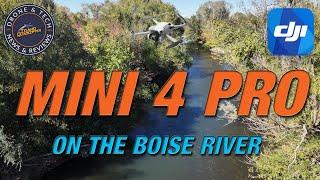 DJI Mini 4 Pro at Westmoreland Park on the Boise River