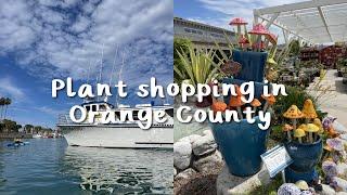 Plant Shopping in Southern California! | Dana Point houseplant vlog