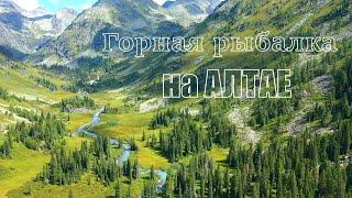 Рыбалка на хариуса в горах Алтая /Озеро Тальмень, гора Белуха, дикая природа Горный Алтай/