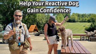 How We Help Reactive Dogs Gain Confidence | Group Training Session