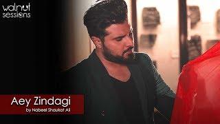 Aey Zindagi Nabeel Shaukat Ali | OST | Walnut Sessions | Walnut Studios