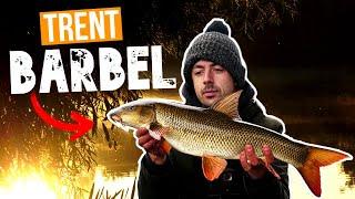 BARBEL FISHING THE RIVER TRENT