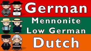 GERMAN, MENNONITE LOW GERMAN, & DUTCH