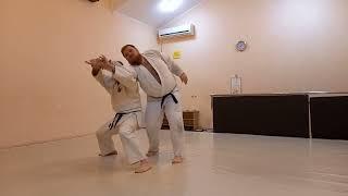 Обычное Айкибудо: кихон наге вадза Ordinary Aikibudo: nage waza