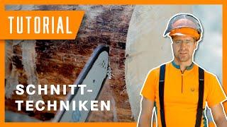 Motorsägen Tutorial: Schnitttechniken  | Anleitung und Tipps | #Holzernte Tutorial